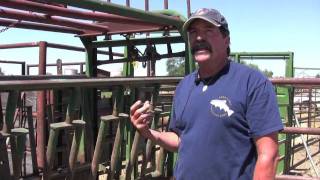 Cattle Handling Equipment Part 1  COS [upl. by Noletta756]