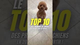 Qui est dans le Top 10  💪 [upl. by Reivaz]