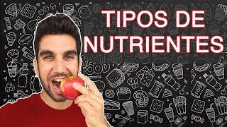 NUTRICIÓN Tipos de nutrientes [upl. by Ardnasirhc]