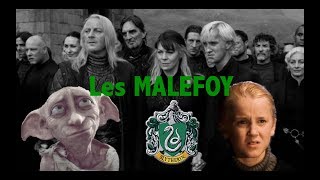 15 CHOSES À SAVOIR SUR LES MALEFOY [upl. by Loftus]