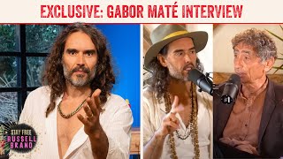 Gabor Maté on Trauma amp Addiction Plus Jordan Peterson amp Depression  Stay Free 183 PREVIEW [upl. by Masha]