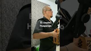 huapango el coyote en acordeon cardellino estilo rustico [upl. by Naira]