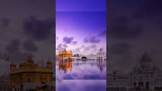 aar nanak paar nanak Diljit Dosanjh darbarsahib 🙏 shorts youtube viral status harmandirsahib [upl. by Dnomsad]