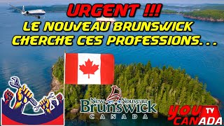 Urgent  Le Nouveau Brunswick cherche ces métiers [upl. by Intosh901]