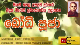 Bodhi Puja බෝධි පුජා Panadure Ariyadhamma Thero [upl. by Landa]