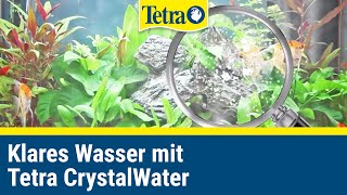 Klares Wasser im Aquarium mit Tetra CrystalWater [upl. by Jennine930]