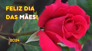 Feliz Dia das MÃ£es ðŸ’ðŸŒ¼ðŸŒ¹ Mensagem Dia das MÃ£es  2024 ðŸ’ðŸŒ¼ðŸŒ¹ [upl. by Ennayllek]