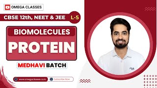 PROTEIN  AMINO ACID  BIOMOLECULES  BIOLOGY CLASS 11  CBSE NEET  OMEGA CLASSES [upl. by Raymund]