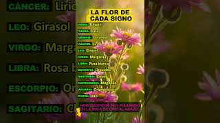 La FLOR que REPRESENTA a cada Signo [upl. by Alarick629]