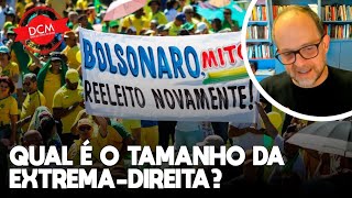 Breno Altman comenta como bolsonarismo tentará encontrar novas lideranças [upl. by Brittni232]