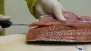 Farmed Salmon Unhealthy and Unsustainable [upl. by Kcirddes]