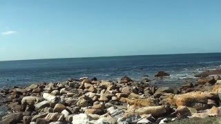 Driving in South Africa  Day trip around Cape Town Peninsula Penguins and Cape of Good Hope [upl. by Grizel]