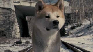 Hachiko A Dog´s Story  Goodbye Theme Song selfarranged for piano amp strings [upl. by Gosselin]