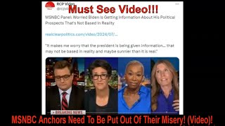 MSNBC Anchors Need To Be Put Out Of Their Misery Video [upl. by Knowlton1]