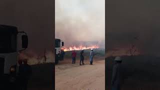 Novos incêndios em Votorantim [upl. by Jaf]