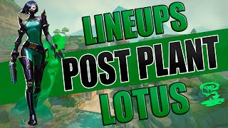 🐍12 LINEUPS VIPER LOTUS  POST PLANT🏆 [upl. by Sax451]