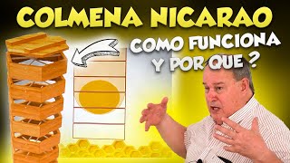 Pt 12 ¿CÓMO FUNCIONA LA COLMENA NICARAO Y POR QUÉ ES TAN EFICIENTE  Curso Apicultura desde Cero [upl. by Icart]