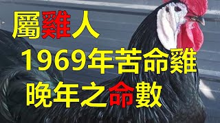 2024生肖運勢，十二生肖（1969年苦命屬雞人的中晚年之命數，1969年屬雞人是什麼命，屬雞人的一生命運又好不好呢？屬土金的屬雞人，一生也算波折再三，但卻越挫越勇，這種屬雞人也叫土雞命） [upl. by Leavy346]