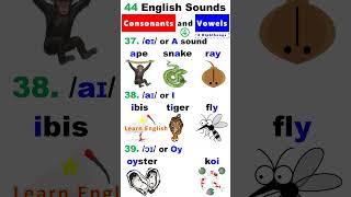 44 English Sounds 4  8 Diphthongs [upl. by Camfort277]