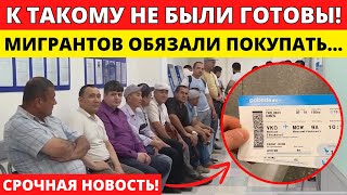 ПЛОХИЕ НОВОСТИ ДЛЯ МИГРАНТОВ БЕРИ ОБРАТНЫЙ БИЛЕТ ЛИБО ВОЗВРАЩАЙСЯ ЧТО БУДЕТ ДАЛЬШЕ [upl. by Otrebilif]