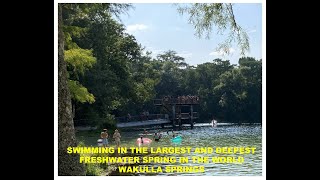 Swimming in the largest and deepest freshwater spring in the world Wakulla Springs [upl. by Parfitt641]