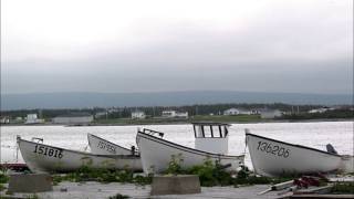 Little Boats Of Newfoundland  Roy Payne [upl. by Briney]