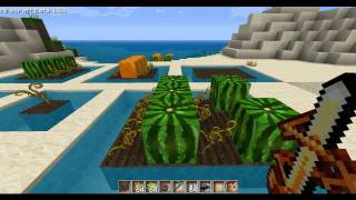 Melonenfarm  Kürbisfarm  Wunschtutorial Minecraft [upl. by Netsrak]