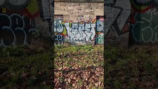 Meadows Edinburgh graffiti 2 [upl. by Refinne335]