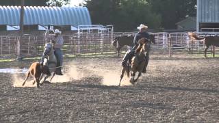 2014 Pitzer Ranch Fall Sale Lot 238 SUN FROST LIGHTNING [upl. by Garihc670]