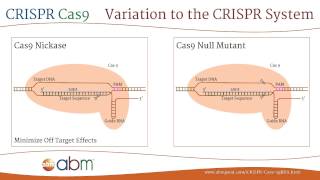 CRISPR Cas9  A Brief Introduction [upl. by Aleiram]