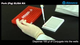 Pork Pig ELISA Kit [upl. by Eirhtug]