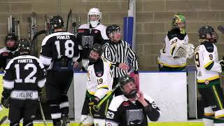 Alliston Hornet vs Napanee Raiders PJHL Playoffs Schmalz Cup Semi Finals Game 2 [upl. by Yasu]