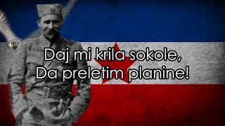 Sivi Sokole  Yugoslav Partisan Song [upl. by Elpmid]