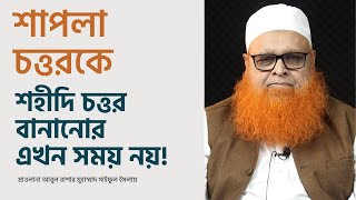 এটা শাপলা চত্তরকে শহীদি চত্তর বানানোর সময় নয় [upl. by Mort]