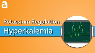 Potassium Regulation Hyperkalemia [upl. by Kin]