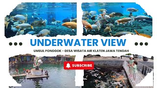 Update Terkini  Umbul Ponggok Plus Underwater View nya  Desa Wisata Air Dekat Jogja dan Solo [upl. by Aiekam]