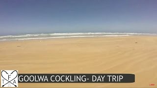 Goolwa Cockling  Day Trip [upl. by Akirdnuhs]