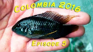 Colombia 2016  Episode 5 [upl. by Oicor784]