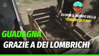 Come funziona e quanto puoi guadagnare da un allevamento di lombrichi con cui produrre humus [upl. by Stone]