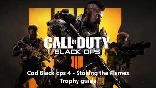 Cod Black ops 4  Stoking the flames Trophy guide [upl. by Lemmor]