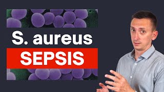 Staphylococcus aureus Sepsis Crucial Tips for Clinicians [upl. by Amein]