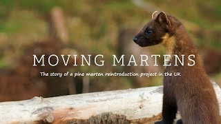 Moving Martens [upl. by Notnerb]