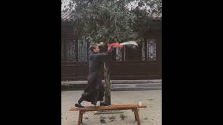 Broadsword practice with Shaolin master [upl. by Groves]