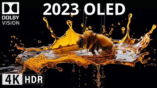 OLED DEMO 2023  4K HDR The Color Dolby Vision [upl. by Marilin923]