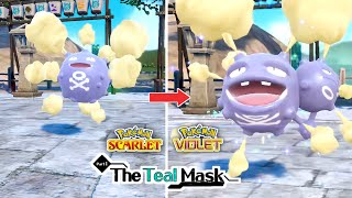 How To Evolve Koffing Into Weezing In Pokemon Scarlet amp Violet DLC  The Teal Mask [upl. by Llirrem]