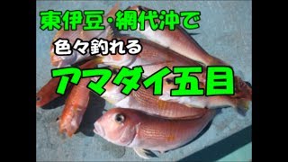 アマダイ五目釣り富士丸・網代沖 Tilefish fishing [upl. by Alegre545]