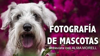 139 Fotografía de MASCOTAS  entrevista con Alma Morell [upl. by Lael323]