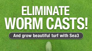 2 Minute Turf Talk  Worm Cast Elimination [upl. by Haeluj]