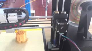 Wanhao Duplicator i3 [upl. by Selym]