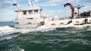 New Zealand Greenshell mussel farming in the Hauraki Gulf [upl. by Nottarts]